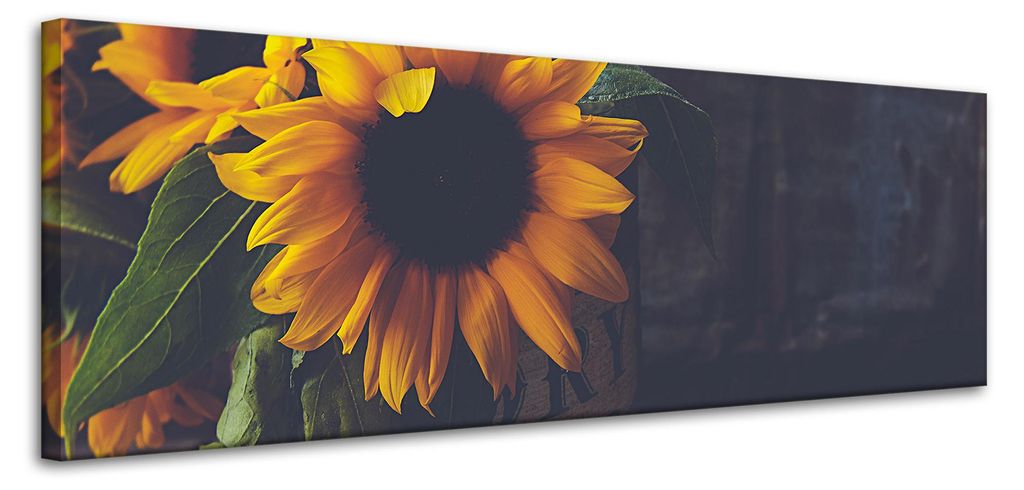 Leinwanddruck Sonnenblumen Vintage 120x40