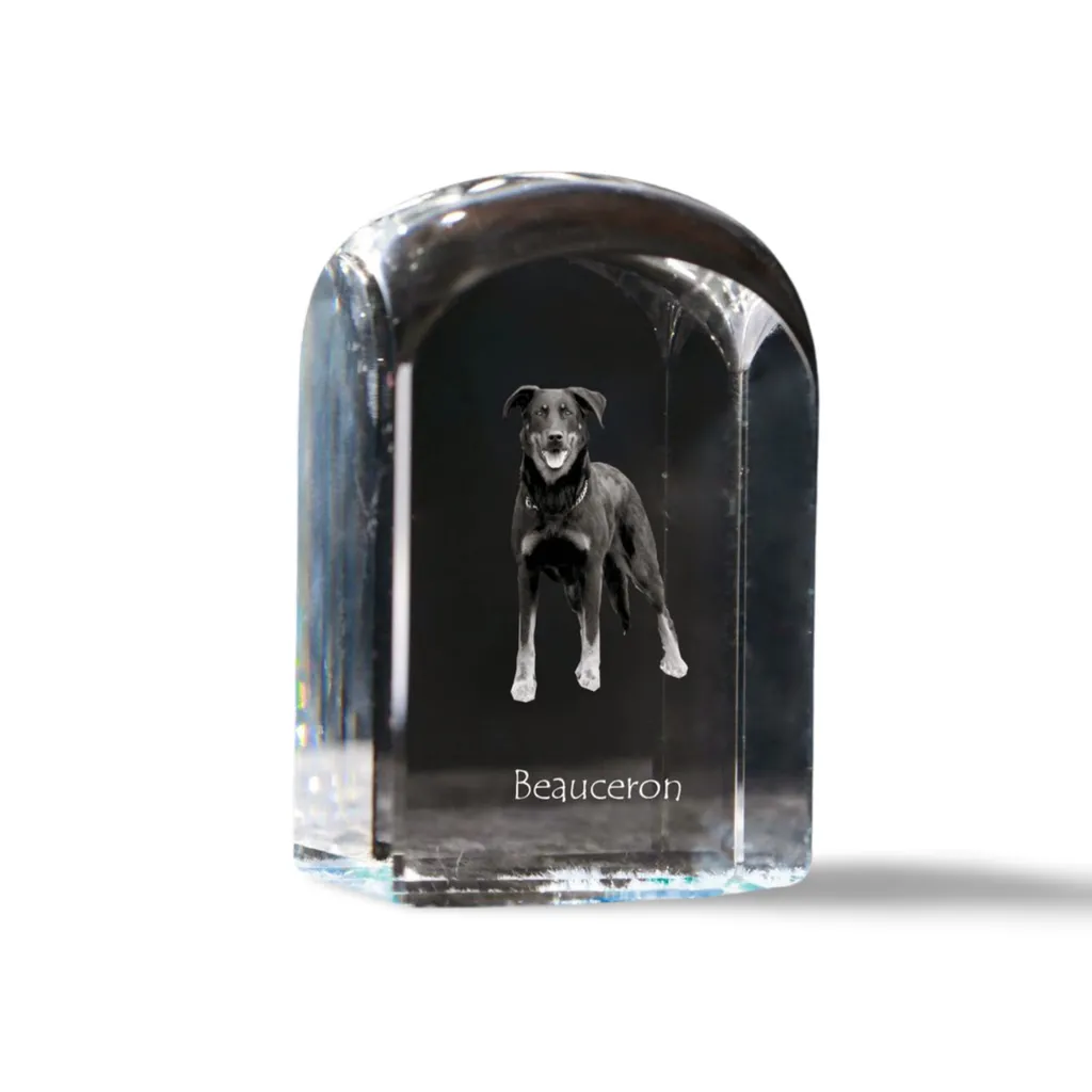Berger de Beauce - cubo di cristallo con fotografia, fotografia del cane nel cristallo, pulsante cubico su carta del marchio Art-Dog