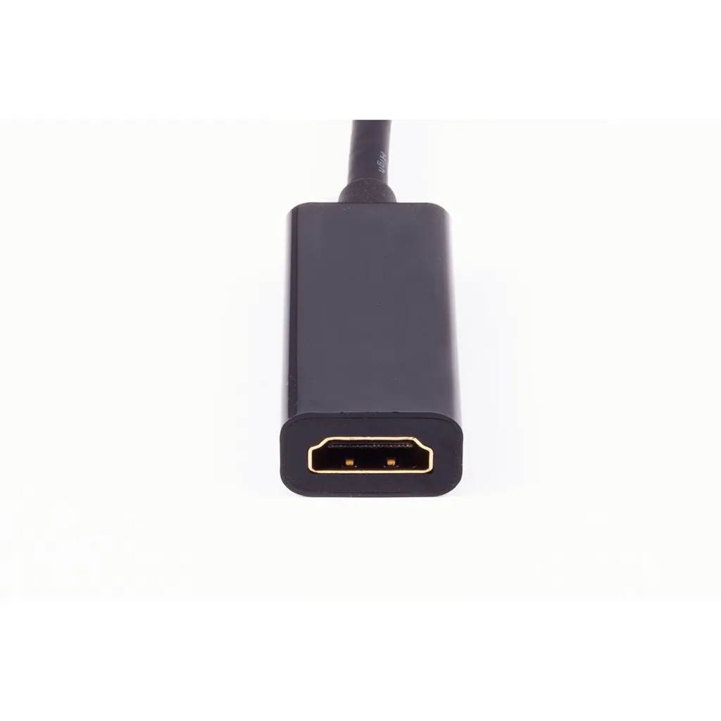 Adaptateur DisplayPort vers HDMI BASIC-S avec connecteurs blindés 1.4