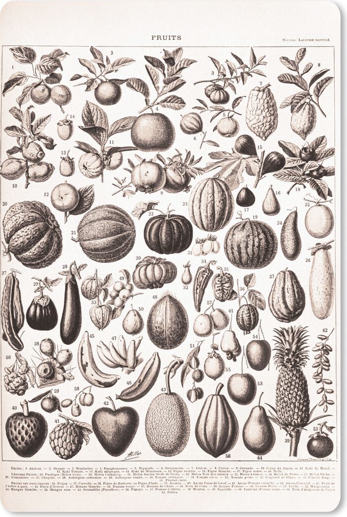 MuchoWow Mauspad Mousepad Obst - Lebensmittel - Schwarz - Weiß 18x27 cm - Mousepads - Maus Mat - Pad - Mausunterlage