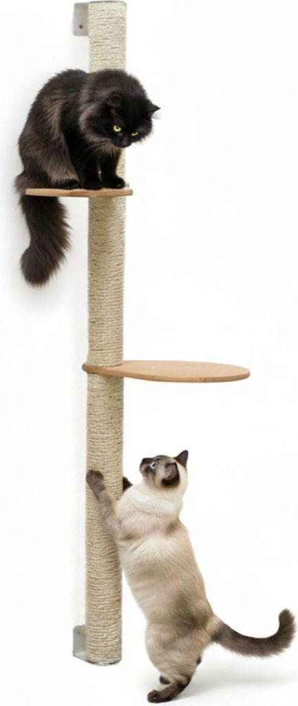 tiragraffi da parete da 132 cm con 2 piattaforme per gatti Immagine del prodotto 