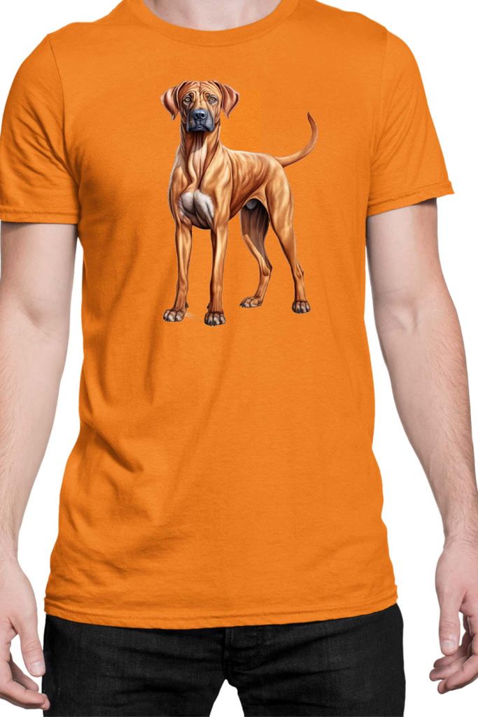 Herren T-Shirt Dogs Breeds Rhodesian Ridgeback Dog Breed 005, Man 2XL / Orange