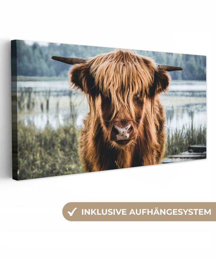 MuchoWow - Leinwandbilder - Kühe - Schottische Hochlandbewohner - Braun - Natur, Wandbild, Wanddeko Bilder Wohnzimmer, 40x20 cm