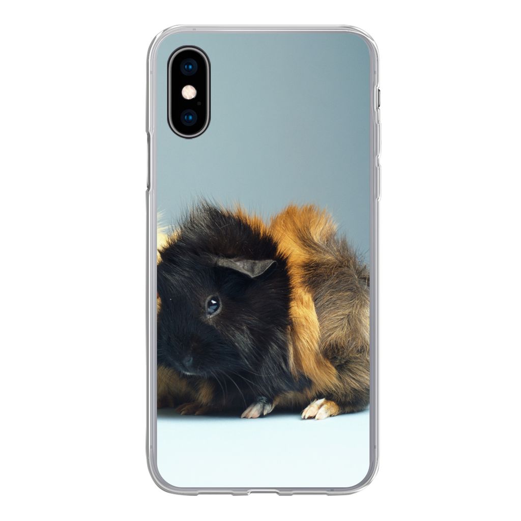 MuchoWow Handyhülle Schutzhülle Hülle für iPhone X Zwei kleine Meerschweinchen Silikon Softcase Handy Hülle - Handyhülle