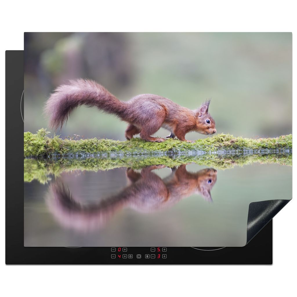 KitchenYeah Herdabdeckplatte Eichhörnchen - Moos - Wasser - Spiegelung , 65x52cm, Küche Deko, Glaskeramikkochfeld Herdabdeckung, Abdeckplatte f...