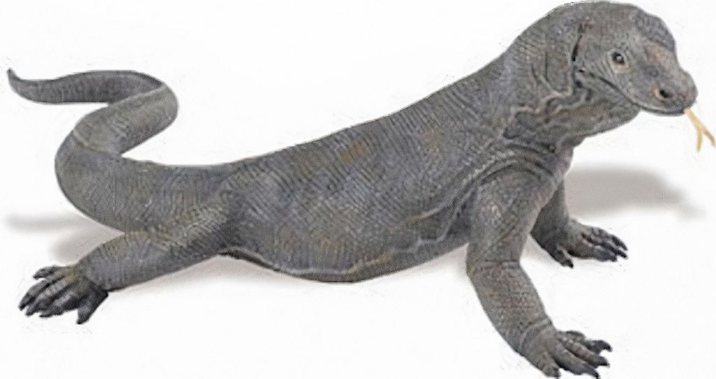 Safari spieltier Komnodowaraan-Eidechse Junior 28 cm grau