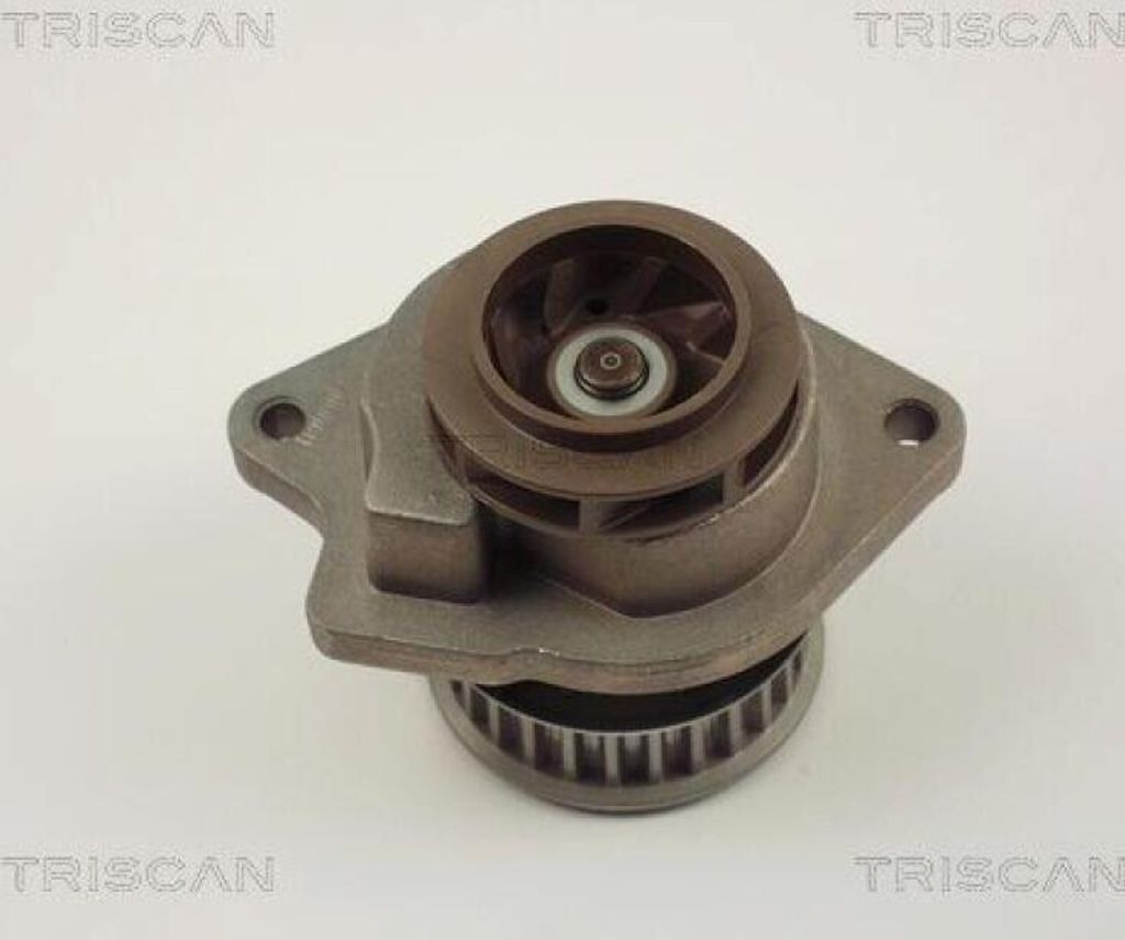 TRISCAN Wasserpumpe 8600 29019