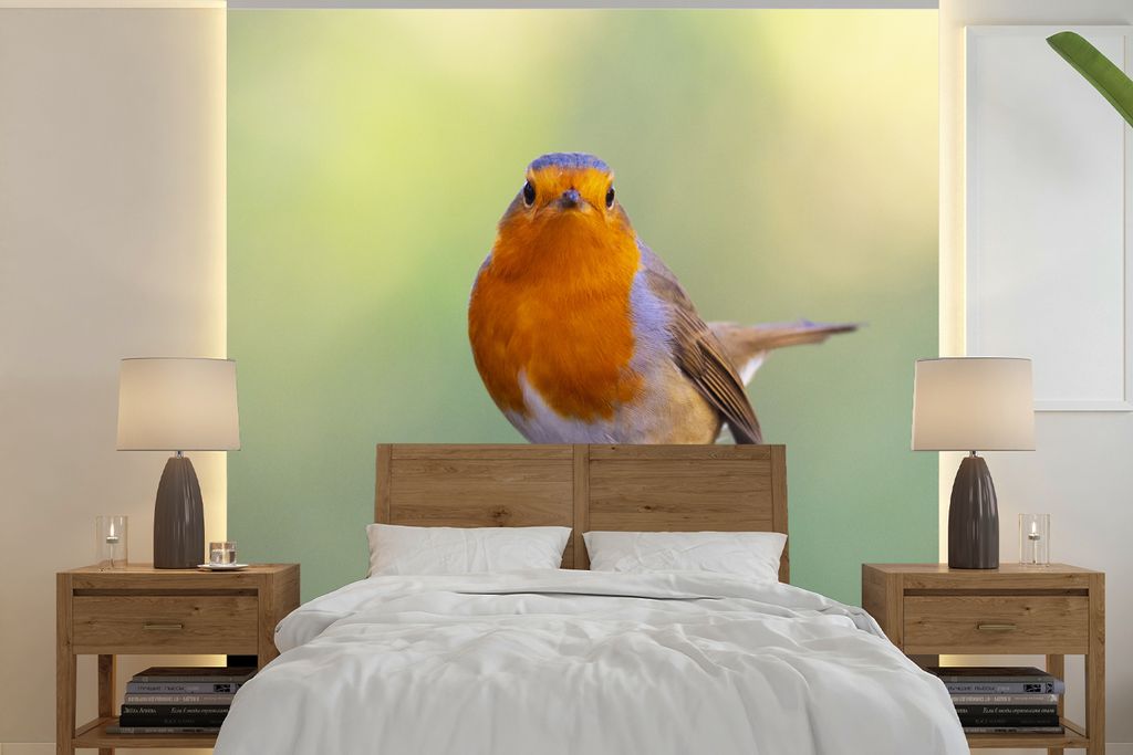 MuchoWow Fototapete für Wohnzimmer oder Schlafzimmer Wandtapete Vinyl Motivtapete Steine - Rotkehlchen - Natur - 300x300 cm - Wanddekoration