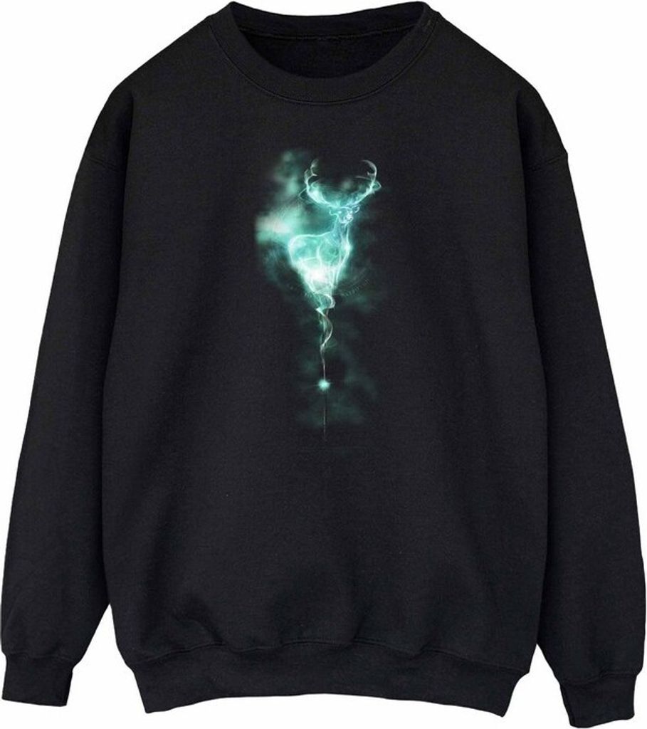 Harry Potter - Sweatshirt für Damen BI2098 (M) (Schwarz)