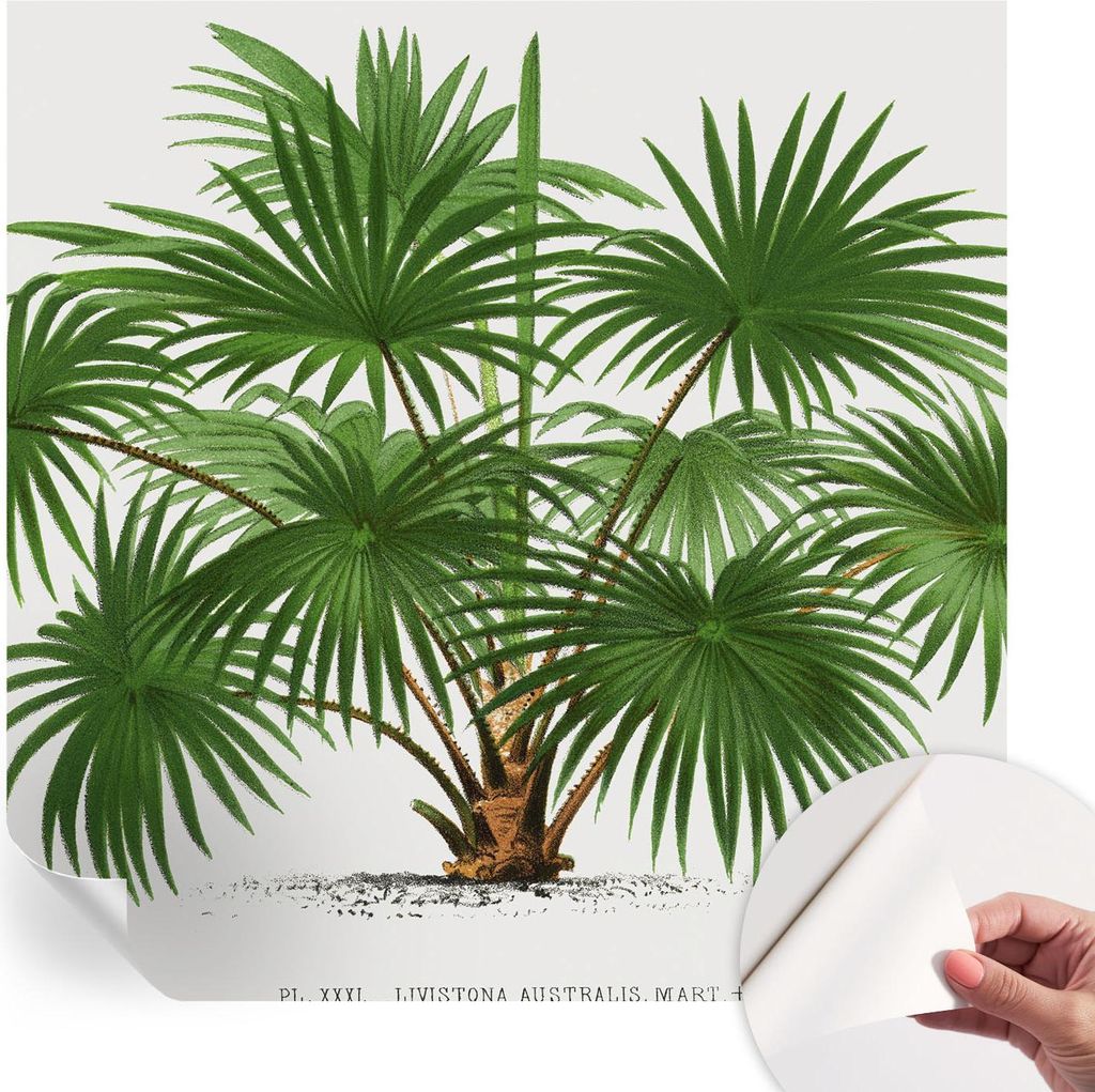 Selbstklebende Wandtapete - Dekorative Tapete für Wohnzimmer - Klebefolie für Wandbilder - Tapetenfolie für Wanddekoration - 250x250 cm - Exotis...
