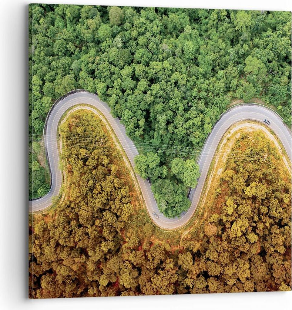 Bild auf Leinwand - Leinwandbild - Einteilig - Luftaufnahmen Weg Wald - 70x70cm - Wand Bild - Wanddeko - Wandbilder - Leinwanddruck - Bilder - Wand...