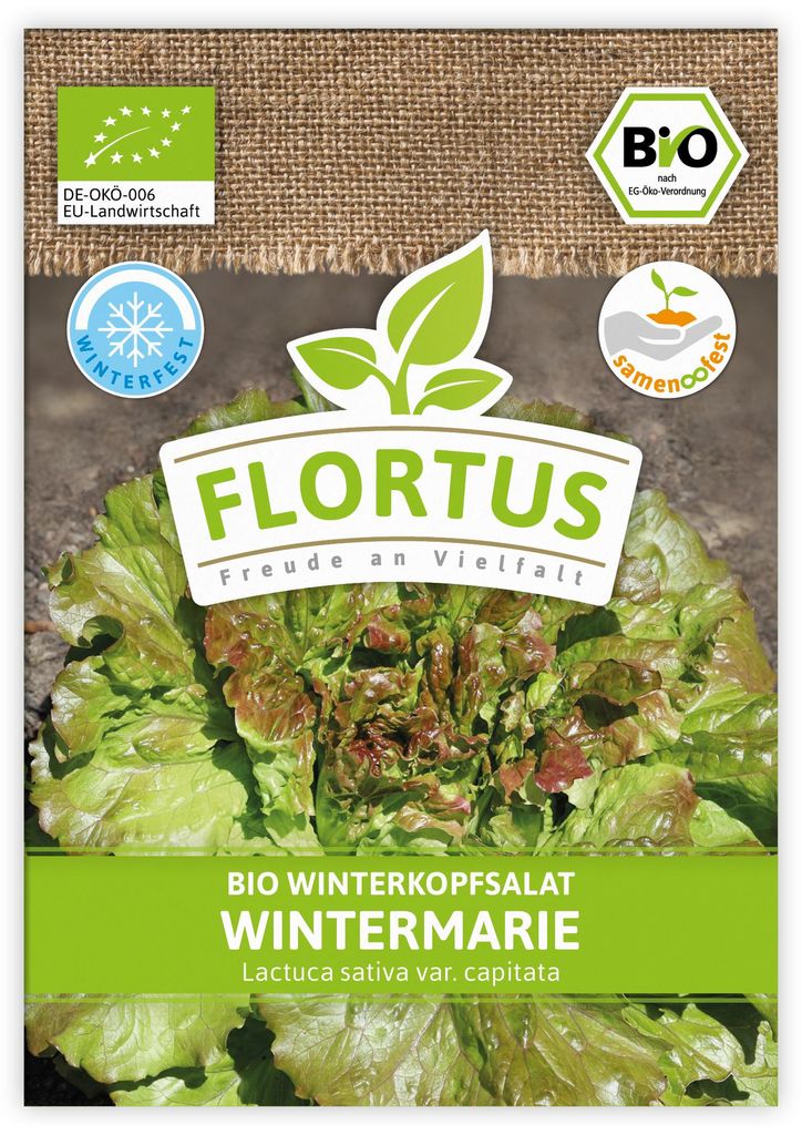 Artikelbild 1 von 'BIO Winterkopfsalat Wintermarie' aus der Kategorie Kopfsalatsamen