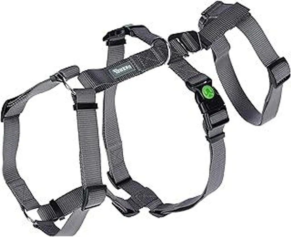 Recensione Pettorina Kerbl Anti-panico Grigia | Sicurezza Cane 15mm