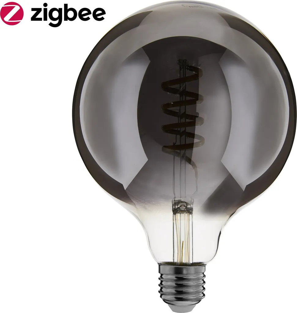 EcoDim Ampoule LED E27 Filament Globe G125 5W Variable 1800K à 5000K