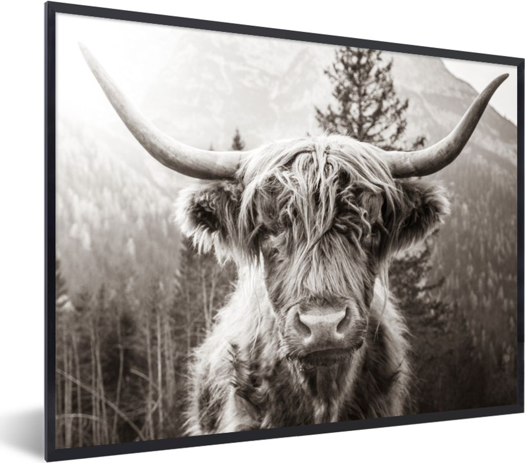 MuchoWow Gerahmtes Poster Schottischer Highlander - Kuh - Tiere - Schwarz - Weiß 80x60 cm - Poster mit Schwarzem Bilderrahmen Wandposter Rahmen ...