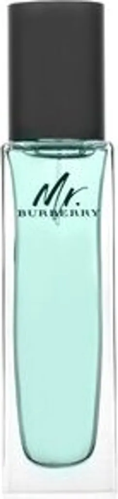 Parfum Homme Mr. Burberry Eau de Toilette Boisée Aromatique Flacon 30 ml