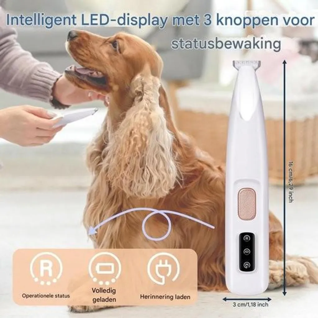 Tondeuse de finition pour chien idéale poils longs et soin des pattes