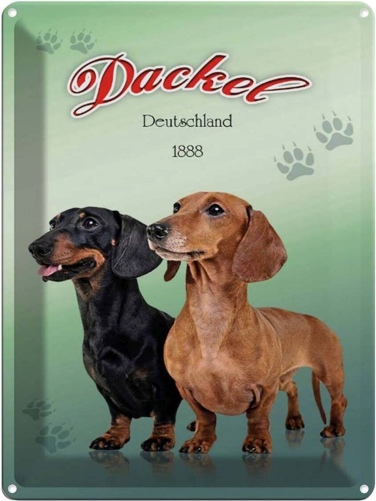 vianmo Blechschild 40x30 cm Hund Dackel Deutschland 1888