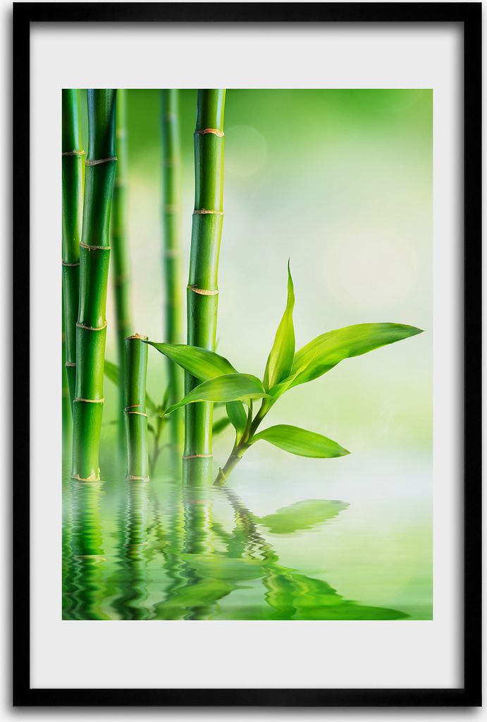 Bild - Bilderrahmen - 40 cm x 60 cm - MDF - Rahmen - Wandkunst - Bambus in Wasser