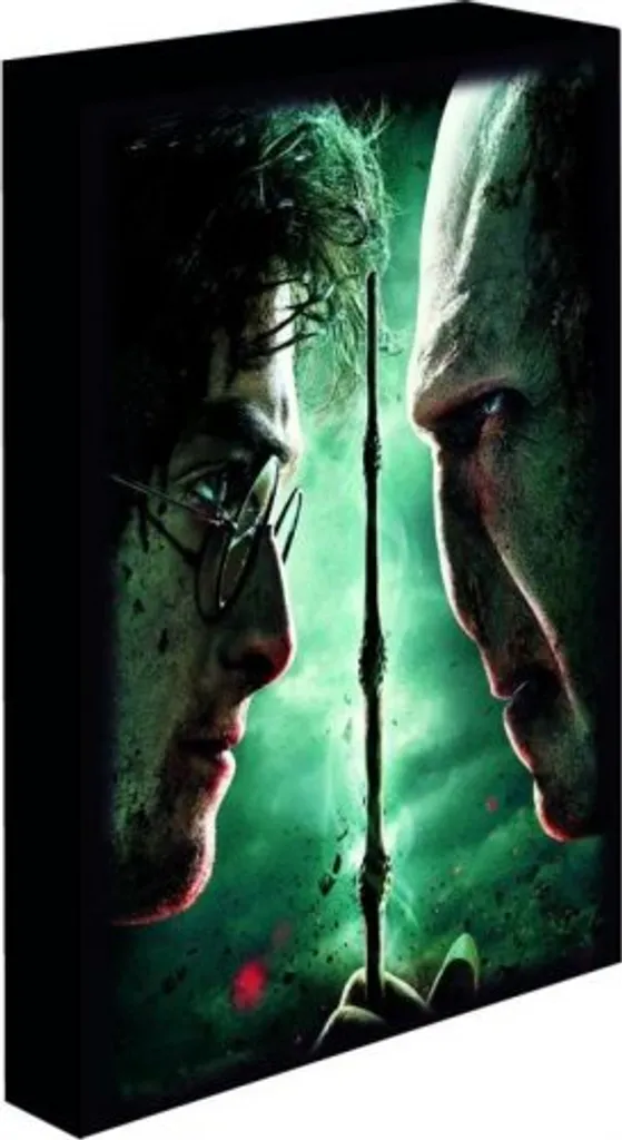 Tableau lumineux LED Harry Potter 30x40 cm - Duel Harry contre Voldemort