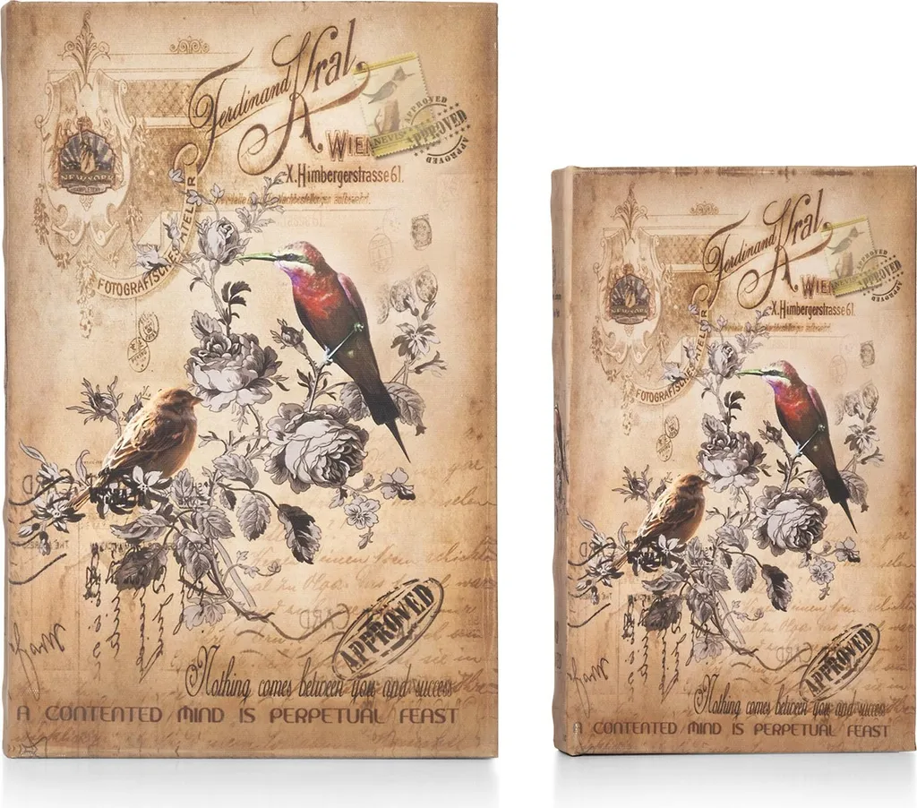 Solution Anti-vol Discrète Set de 2 Livres Coffre-fort Déco Oiseaux - 6