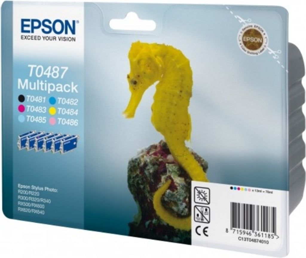Original Epson C 13 T 04874010 / T0487 Tintenpatrone Produktbild 