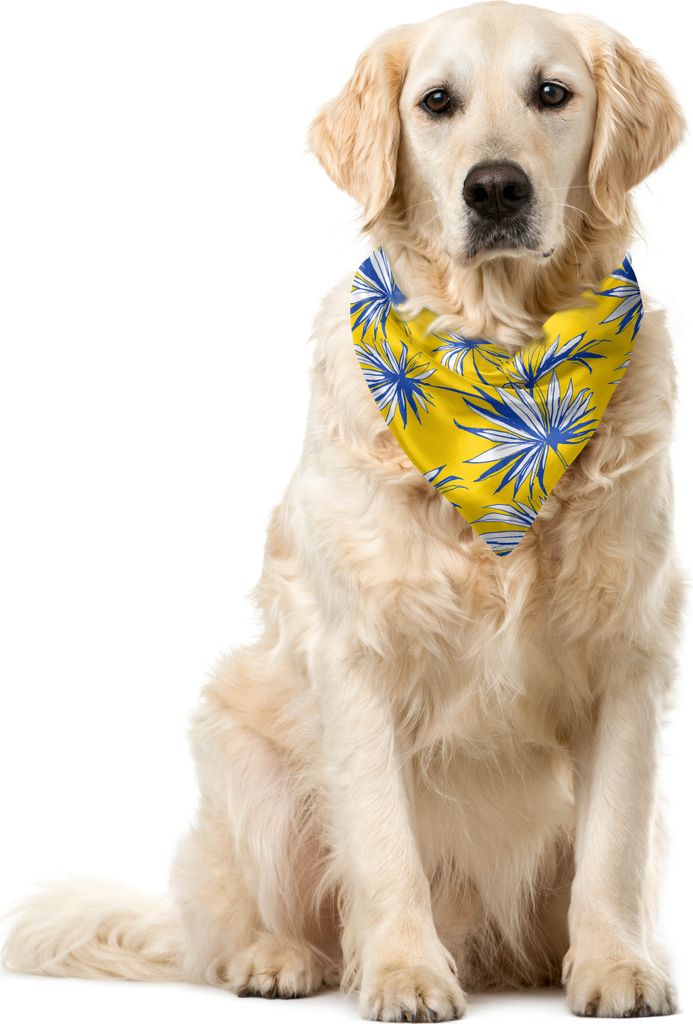 ABAKUHAUS Dschungel Haustier Bandana, Grunge Tropical Pflanzenblätter, 40x40 cm, Gelb-Blau und Weiß