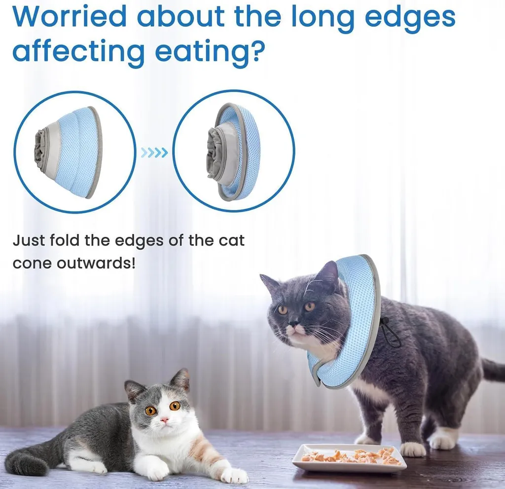 Collier de récupération chat bleu S flexible et lavable pour soins - 4