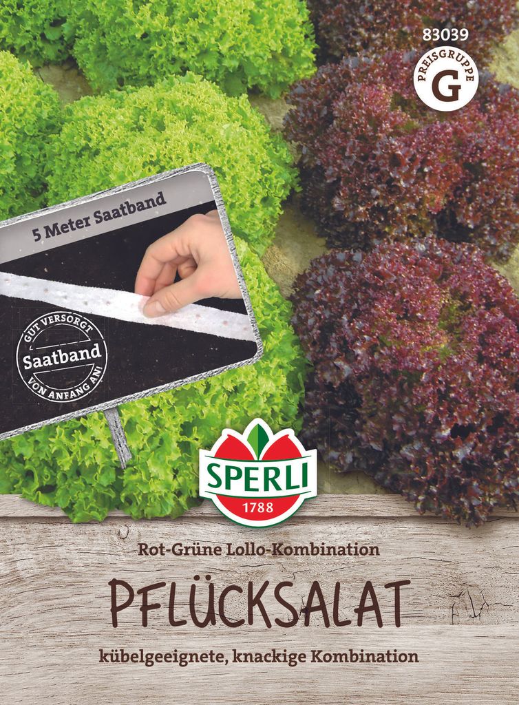 SPERLI Salat Saatband Rot Grüne Lollo Kombination 5 lfd. Produktbild 