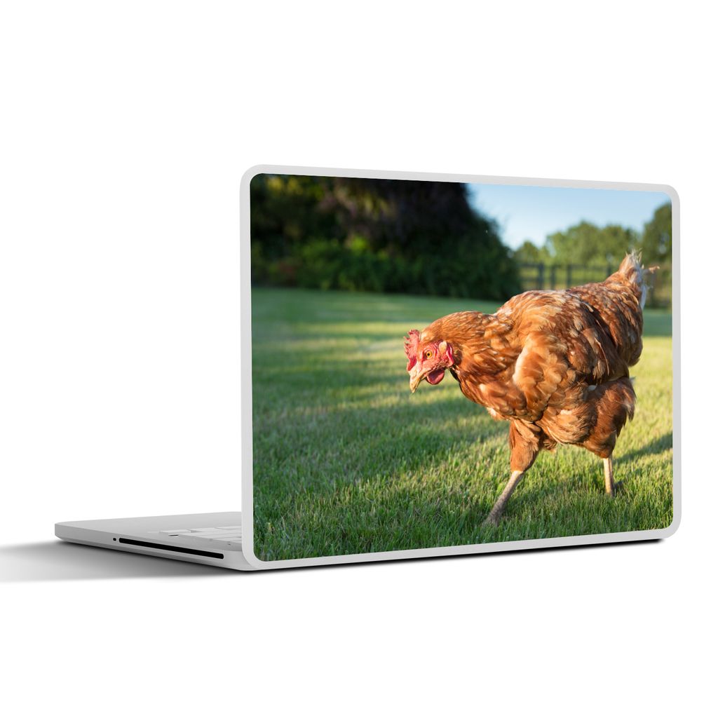 MuchoWow Laptop Aufkleber Sticker Cover Huhn im Gras auf der Suche nach Futter 25x18 cm - Laptop-Deko