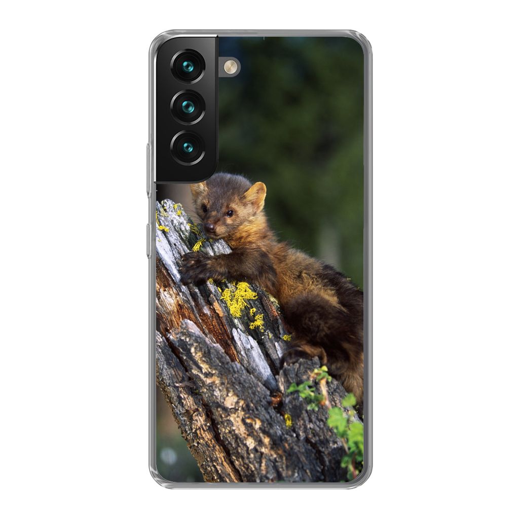 MuchoWow Handyhülle Schutzhülle Hülle für Samsung Galaxy S22 Marder - Baum - Wald Silikon Softcase Handy Hülle - Mobiltelefonhülle