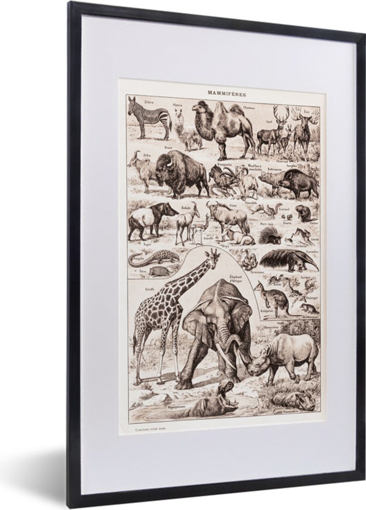 MuchoWow® Gerahmtes Poster Tiere - Elefant - Schwarz - Weiß Produktbild 