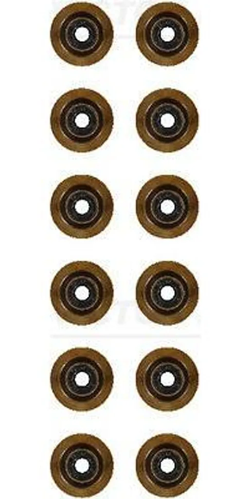 Kit de joints tige de soupape VICTOR REINZ 12-17144-01 pour Ford Focus