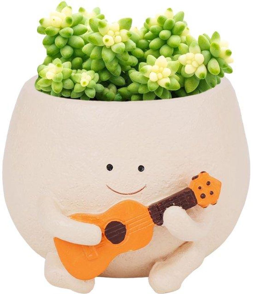 Resin Succulent Planter mit Abflussloch Indoor Outdoor Dekoration für Zuhause Geschenk für Mom