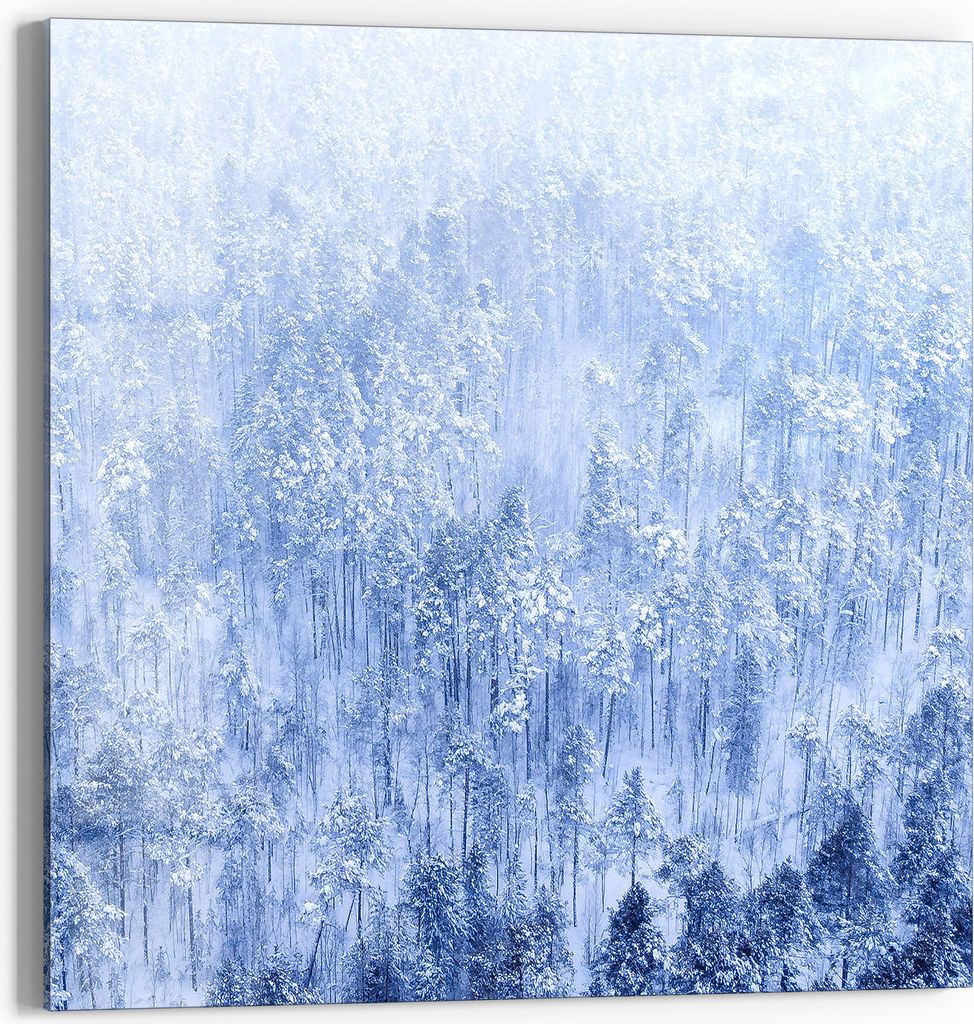 DEQORI Glasbild Echtglas 30x30 cm 'Winterwald in Weiß' Wandbild Bild modern Deko