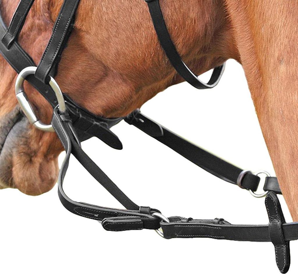 Shires Flexible Lederzügel ER296 (Cob/Full) (Schwarz)