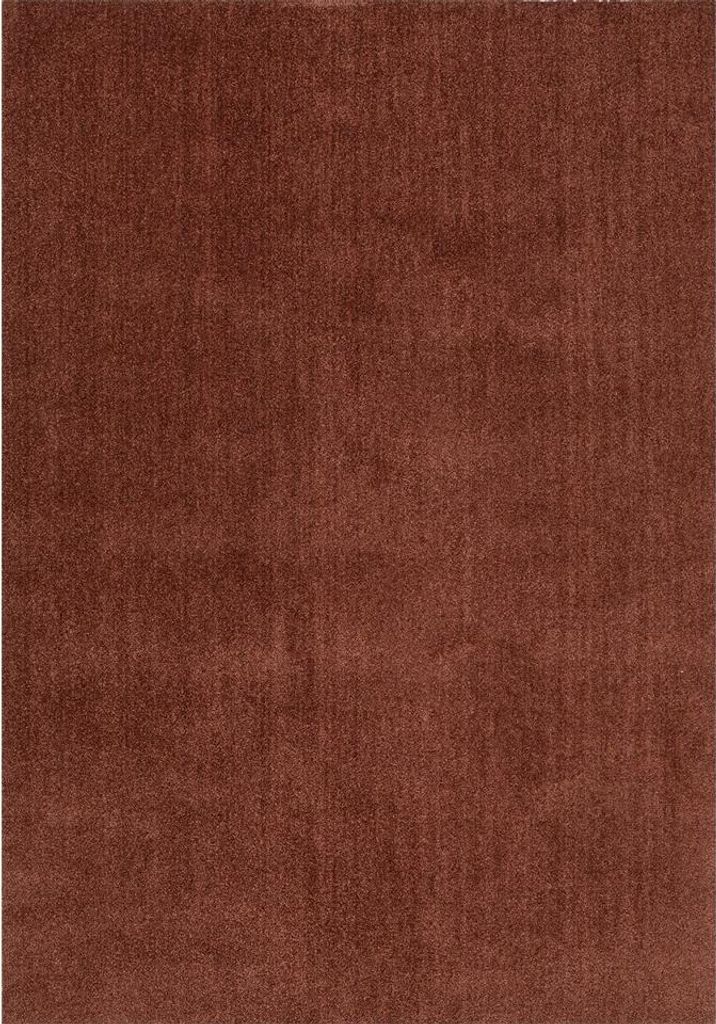 Moderner Teppich in Terrakotta Feel