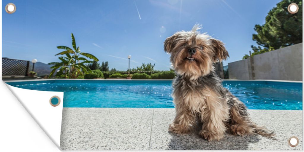 MuchoWow 60x30 cm Outdoor-Poster Gartendeko Sichtschutz Garten Poster für den Garten Yorkshire Terrier an einem Pool an einem sonnigen Tag