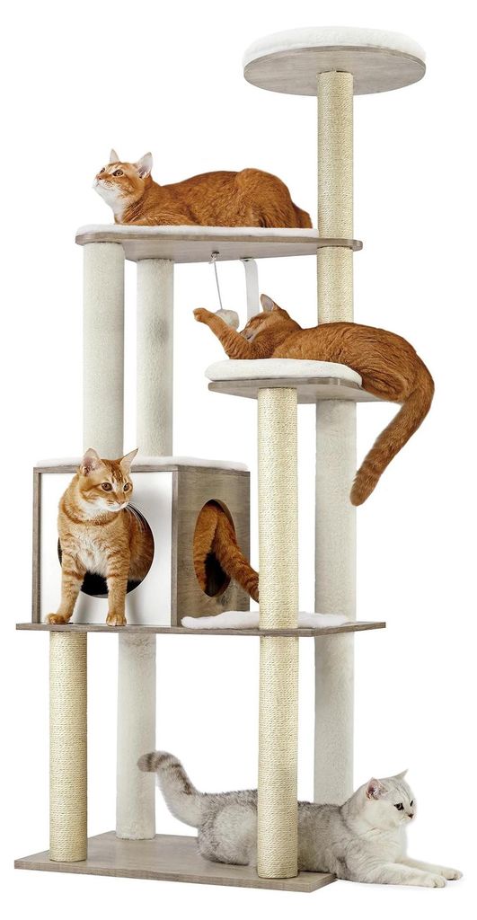 Katzenkratzbaum - Modell PCT166 - 5 Ebenen - 5 Kratzsäulen - Plattform - Katzenhöhle - Holz - Beige