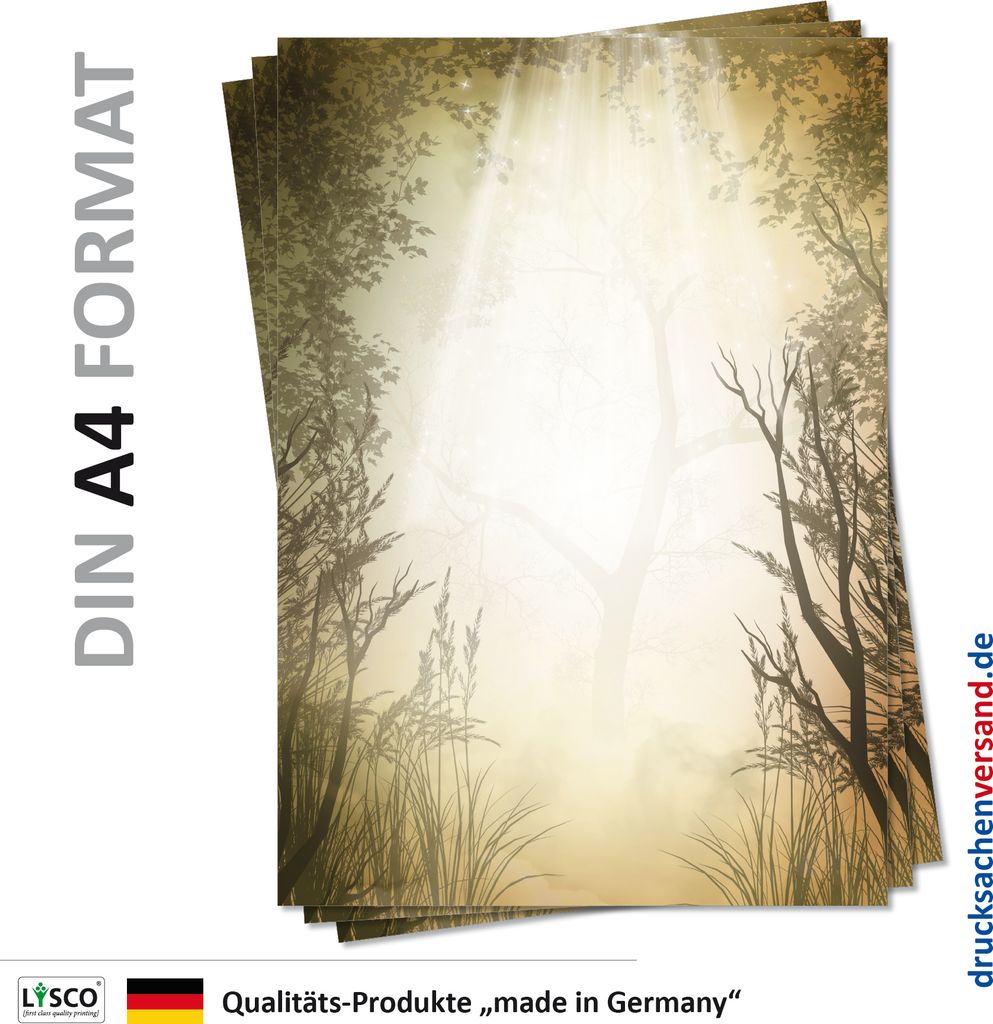Motiv Briefpapier (Natur-5119, DIN A4, 25 Blatt) Wald Sonne Sonnenstrahlen Lichtung Motivpapier