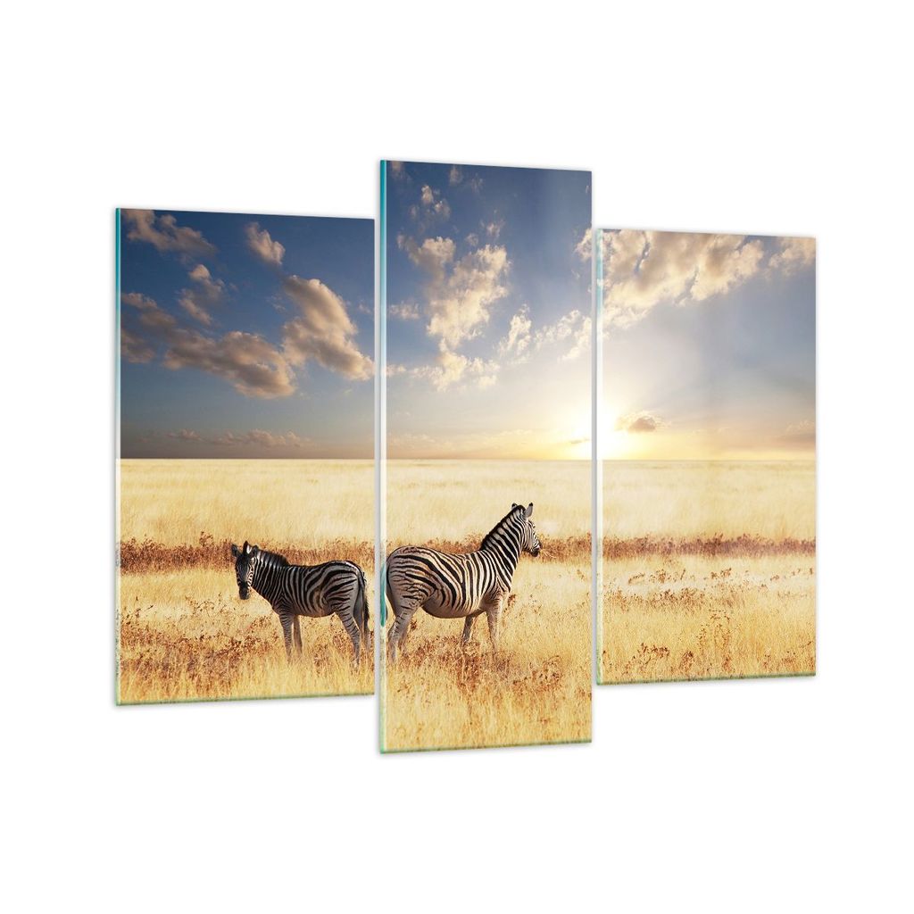 Bilder auf glas - Zebra tier gestreift savanne - 130x100cm - Glasbilder - Wandbilder - Kunstdruck - zum Aufhängen bereit - Wanddekoration aus Glas...