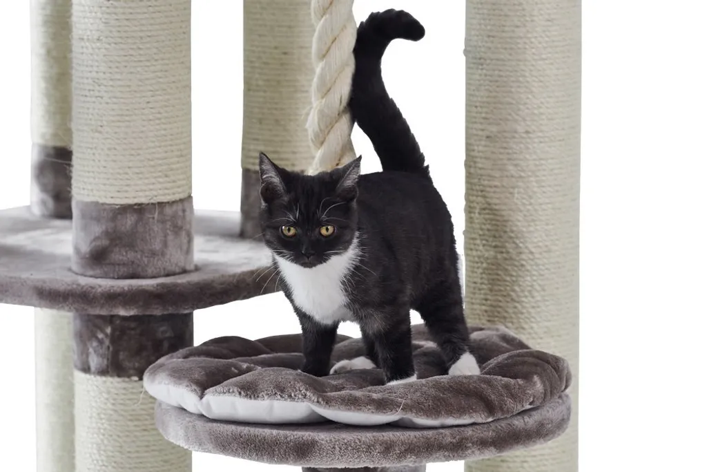 Arbre à chat stable Nobby Fredo 158cm avec niche confortable - 3