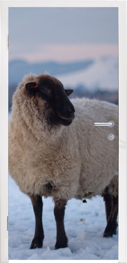 MuchoWow Türtapete Selbstklebende Türfolie Schaf - Schnee - Berg 90x205 cm Türposter Türaufkleber Klebefolie Türklebefolie - Türaufklebern