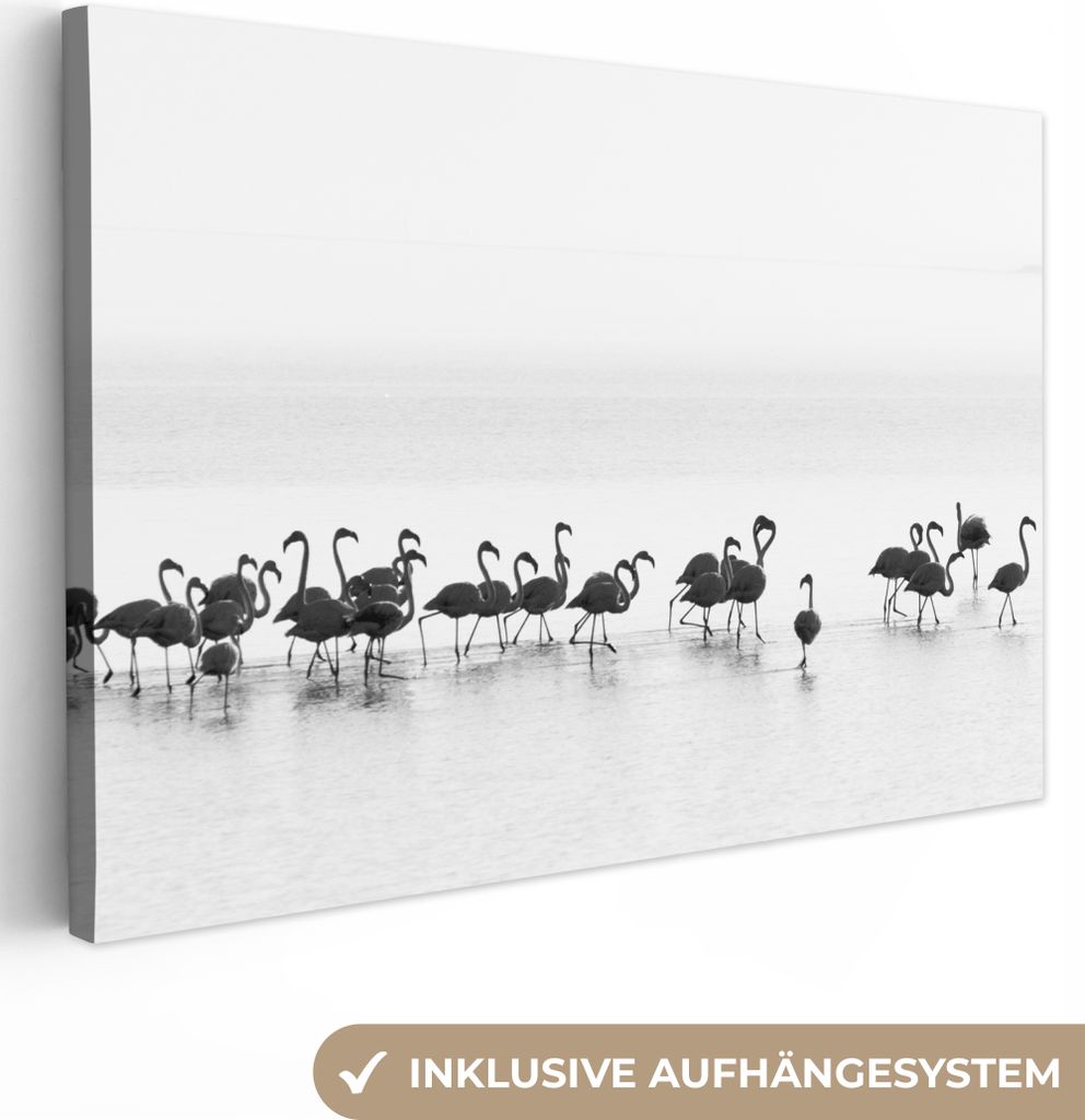 OneMillionCanvasses - Leinwandbilder - 140x90 cm, Flamingos - Wasser - Natur - Schwarz und weiß, Wandbilder Kunstdruck Wanddekoration - Foto auf...
