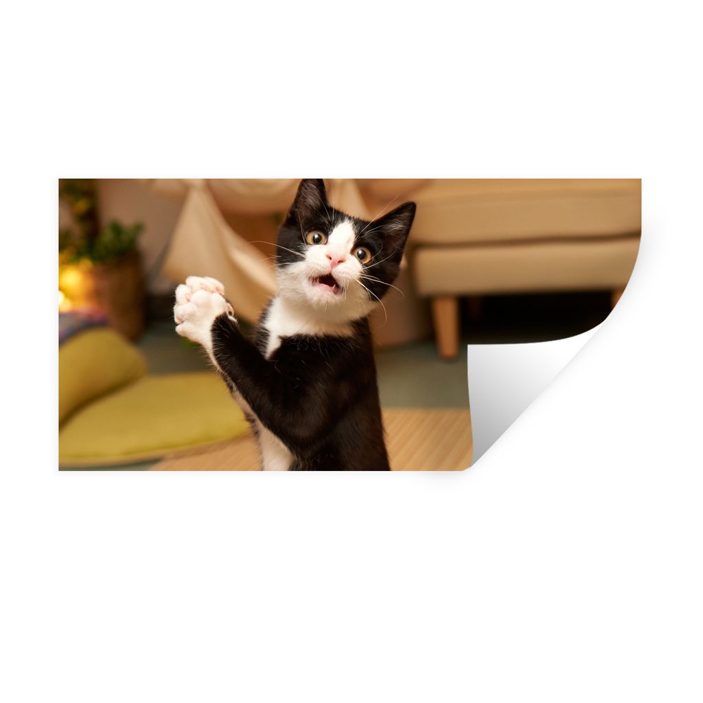 MuchoWow Wandtattoo Wandsticker Wandaufkleber Katze - Wohnzimmer - Schwarz 160x80 cm Selbstklebend und Repositionierbar - Sticker - Dekorfolie