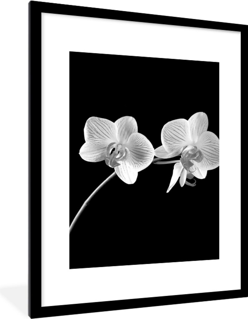 MuchoWow Gerahmtes Poster Orchidee - Blumen - Schwarz - Rosa - Knöpfe 60x80 cm - Poster mit Schwarzem Bilderrahmen Wandposter Rahmen Foto Bilder...