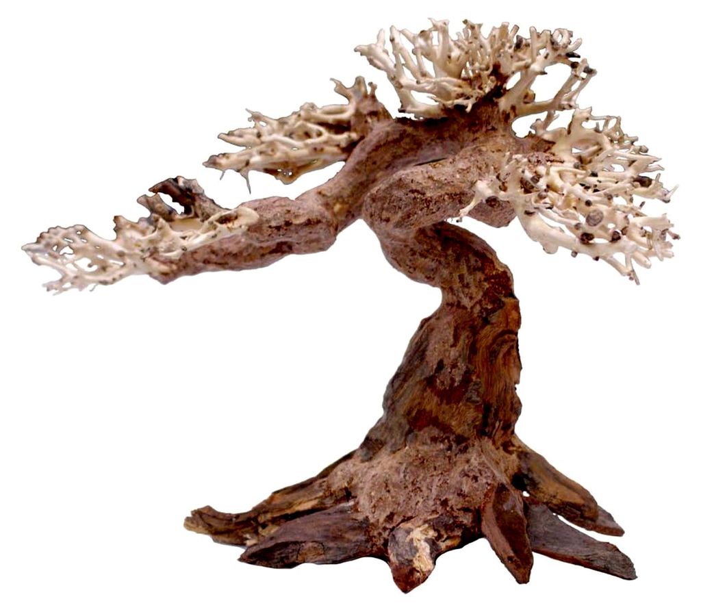 Oriental Wind 5 Holz, handgefertigt, für Aquarien, 25x10x18 cm, Klein