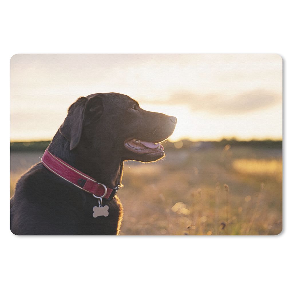 MuchoWow Schreibtischunterlage Ein Labrador Retriever bei Sonnenuntergang 60x40 cm - XXL Mauspad - Großes Mauspad