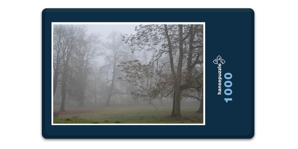 hansepuzzle 11971 - Morgen-Stimmung Puzzle, 1000 Teile, Gefühle, 60,0 x 46,0cm mit hochwertiger Aufbewahrung, Kartonbox & Beutel