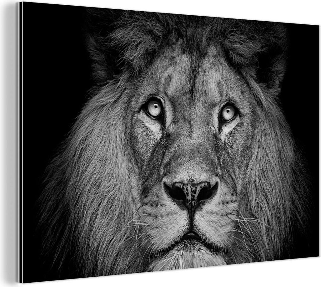 MuchoWow Wanddekoration Metall Metallbild Wandkunst 30x20 cm Löwe - Porträt - Schwarz - Weiß MuchoWow Aluminium Gemälde - Aluminiumgemälder